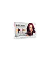 A.S.P Gloss And Glaze Intro Kit