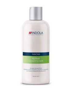 Repair Conditioner 250Ml