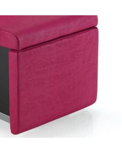 Cascade Wash Unit With  Electric Legrest