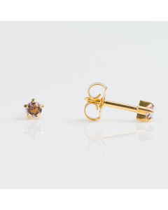 Studex-Regular Gold Plated Tiffany June Alexandrite R106Y -12 Pack