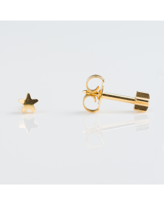 Studex-Regular Gold Plated Star R501Y-12 Pack