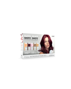 A.S.P Gloss And Glaze Intro Kit